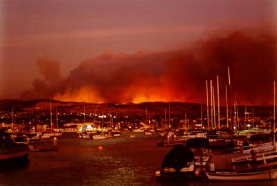 Photographs of the 1993 Laguna Beach Wildfire.