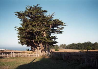 Photographs of the Southern Mendocino County Coast, California.