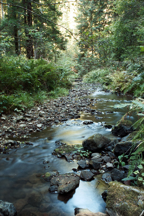 Photographs of the Southern Mendocino County Coast, California.