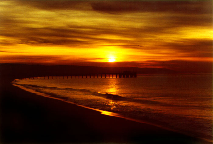 Photographs of Newport Beach and Orange County, California.