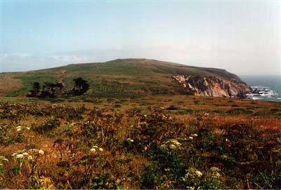 Photographs of Point Reyes National Seashore, California.