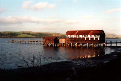 Photographs of Point Reyes National Seashore, California.