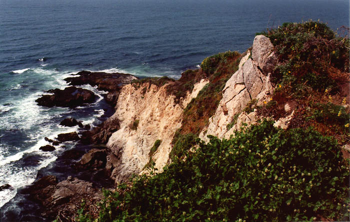 Photographs of Point Reyes National Seashore, California.