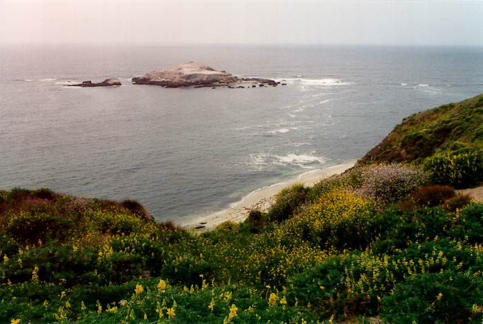 Photographs of Point Reyes National Seashore, California.