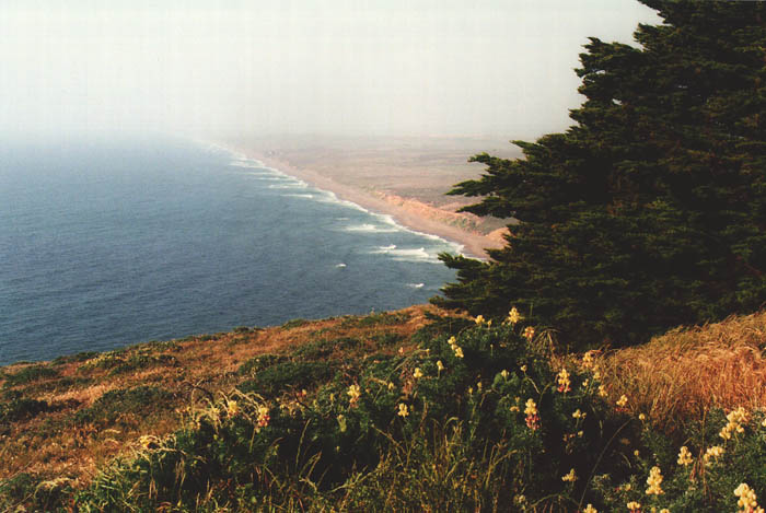 Photographs of Point Reyes National Seashore, California.