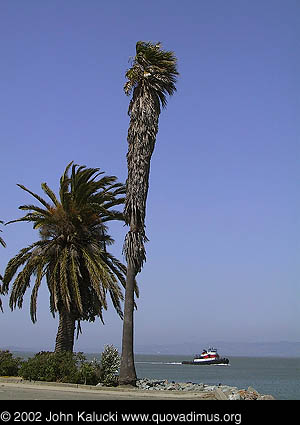 Photographs of some of the military architecture at the Treasure Island Naval Base, San Francisco, California.