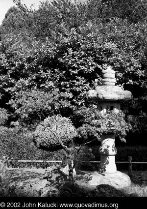 Photographs of the Japanese Tea Garden in Golden Gate Park, San Francisco, California.