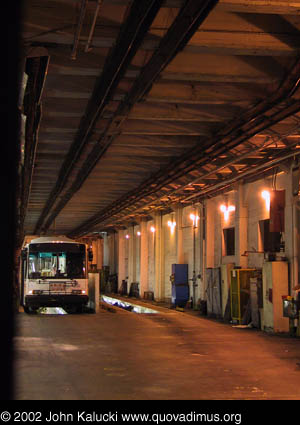 Photographs of MUNI, San Francisco's Municipal Railway.