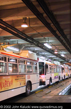 Photographs of MUNI, San Francisco's Municipal Railway.