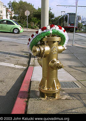 Photographs of Noe Valley Fire Hydrant that saved the Mission.