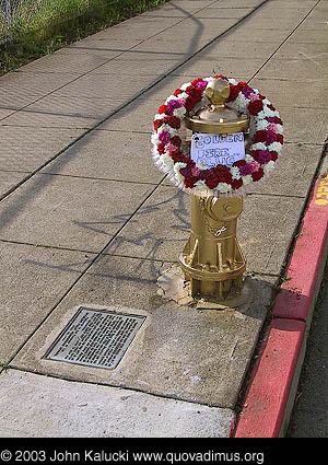 Photographs of Noe Valley Fire Hydrant that saved the Mission.