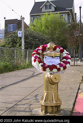 Photographs of Noe Valley Fire Hydrant that saved the Mission.