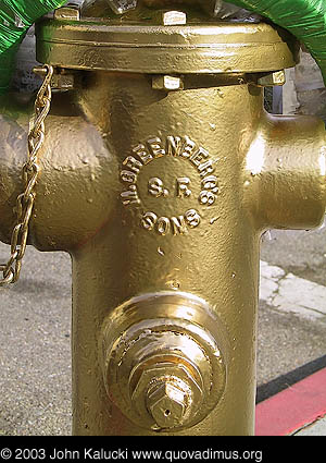 Photographs of Noe Valley Fire Hydrant that saved the Mission.