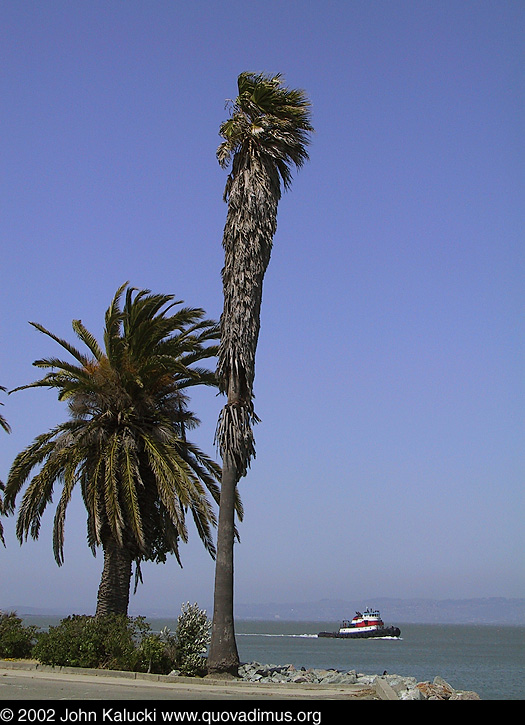 Photographs of some of the military architecture at the Treasure Island Naval Base, San Francisco, California.