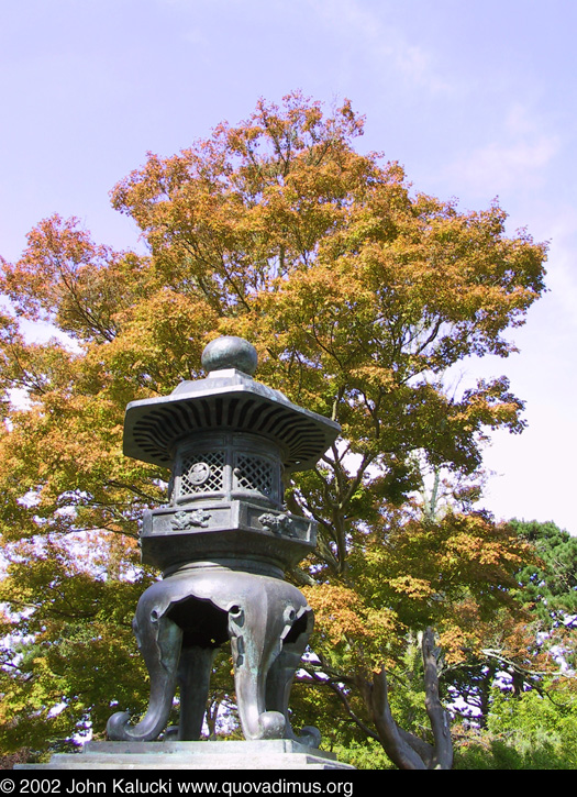 Photographs of the Japanese Tea Garden in Golden Gate Park, San Francisco, California.