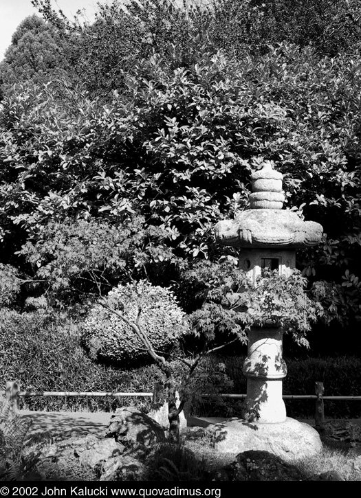 Photographs of the Japanese Tea Garden in Golden Gate Park, San Francisco, California.