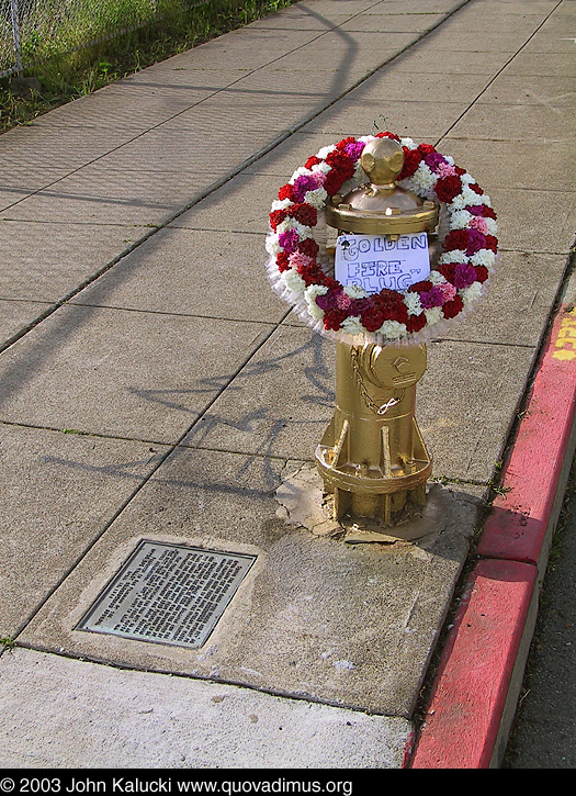 Photographs of Noe Valley Fire Hydrant that saved the Mission.