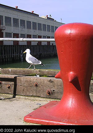 Photographs of the docks and warehouses at Fort Mason, San Francisco.