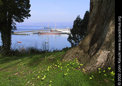 Photographs of the view from Fort Mason, San Francisco.