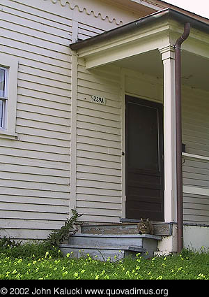 Photographs of housing, barracks, and administration buildings at Fort Mason, San Francisco.