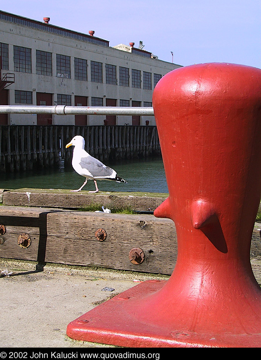 Photographs of the docks and warehouses at Fort Mason, San Francisco.