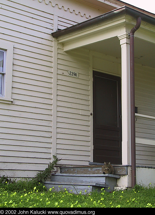 Photographs of housing, barracks, and administration buildings at Fort Mason, San Francisco.