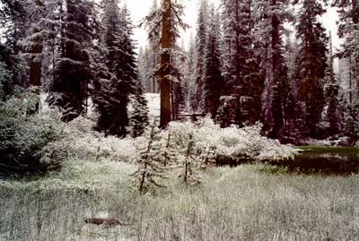 Photographs of Lassen National Volcanic Park during a late June snowstorm.