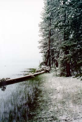 Photographs of Lassen National Volcanic Park during a late June snowstorm.