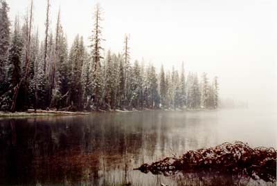 Photographs of Lassen National Volcanic Park during a late June snowstorm.