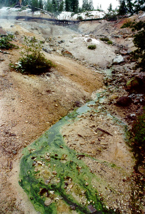 Photographs of Lassen National Volcanic Park during a late June snowstorm.