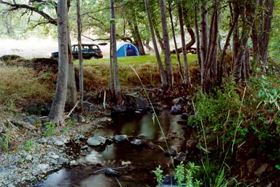 Photographs from a short trip across the southern end of Mendocino National Forest