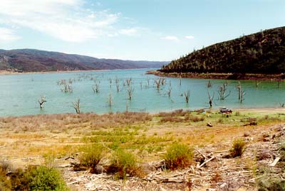 Photographs from a short trip across the southern end of Mendocino National Forest