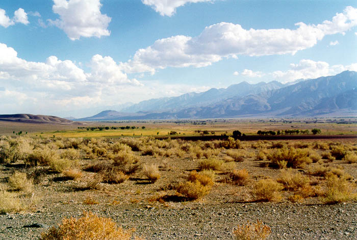 Images from the Carson-Iceberg Wilderness, Twin Lakes, Yosemite and the Owens Valley.