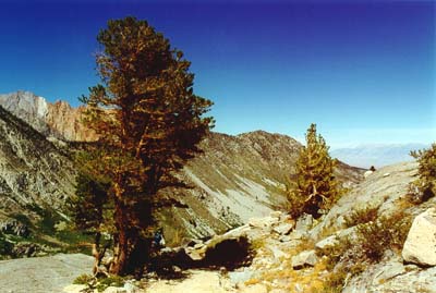 Photographs from a backpacking trip in the John Muir Wilderness