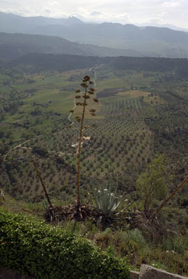 Pictures from the hotels we stayed in Spain, May, 1999. May be of minor interest to only those who are planning a trip.