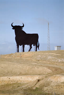 http://www.quovadimus.org/spain99/misc/400/99-12-05-roadsidebullhigh.jpg