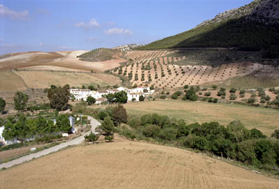 A walk around Ronda, Spain.