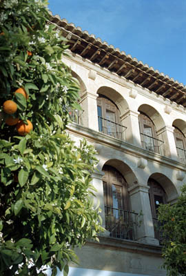 A walk around Ronda, Spain.