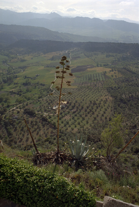 A walk around Ronda, Spain.