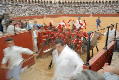 Backstage at a bullfight in Sevilla, Spain. What happens to the bull after the fight?