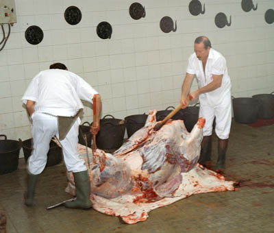 Backstage at a bullfight in Sevilla, Spain. What happens to the bull after the fight?