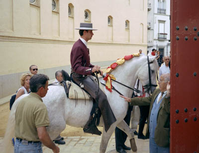 Backstage at a bullfight in Sevilla, Spain. What happens to the bull after the fight?