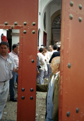 Backstage at a bullfight in Sevilla, Spain. What happens to the bull after the fight?