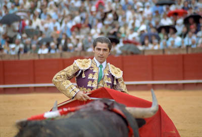 A bullfight in Sevilla, Spain.