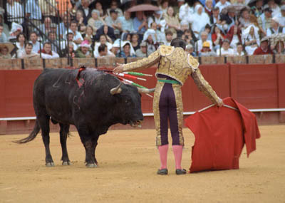 A bullfight in Sevilla, Spain.