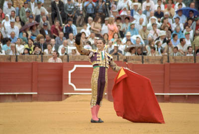 A bullfight in Sevilla, Spain.