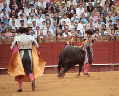 A bullfight in Sevilla, Spain.