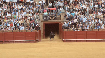 A bullfight in Sevilla, Spain.