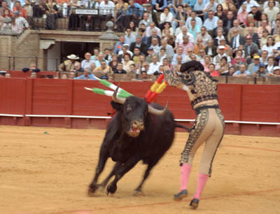 A bullfight in Sevilla, Spain.