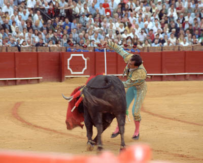 A bullfight in Sevilla, Spain.